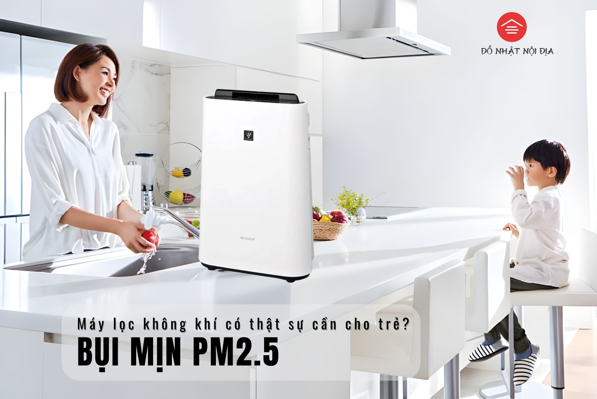 Bụi mịn PM2.5 tại Hà Nội: Máy lọc không khí có thật sự cần cho trẻ?