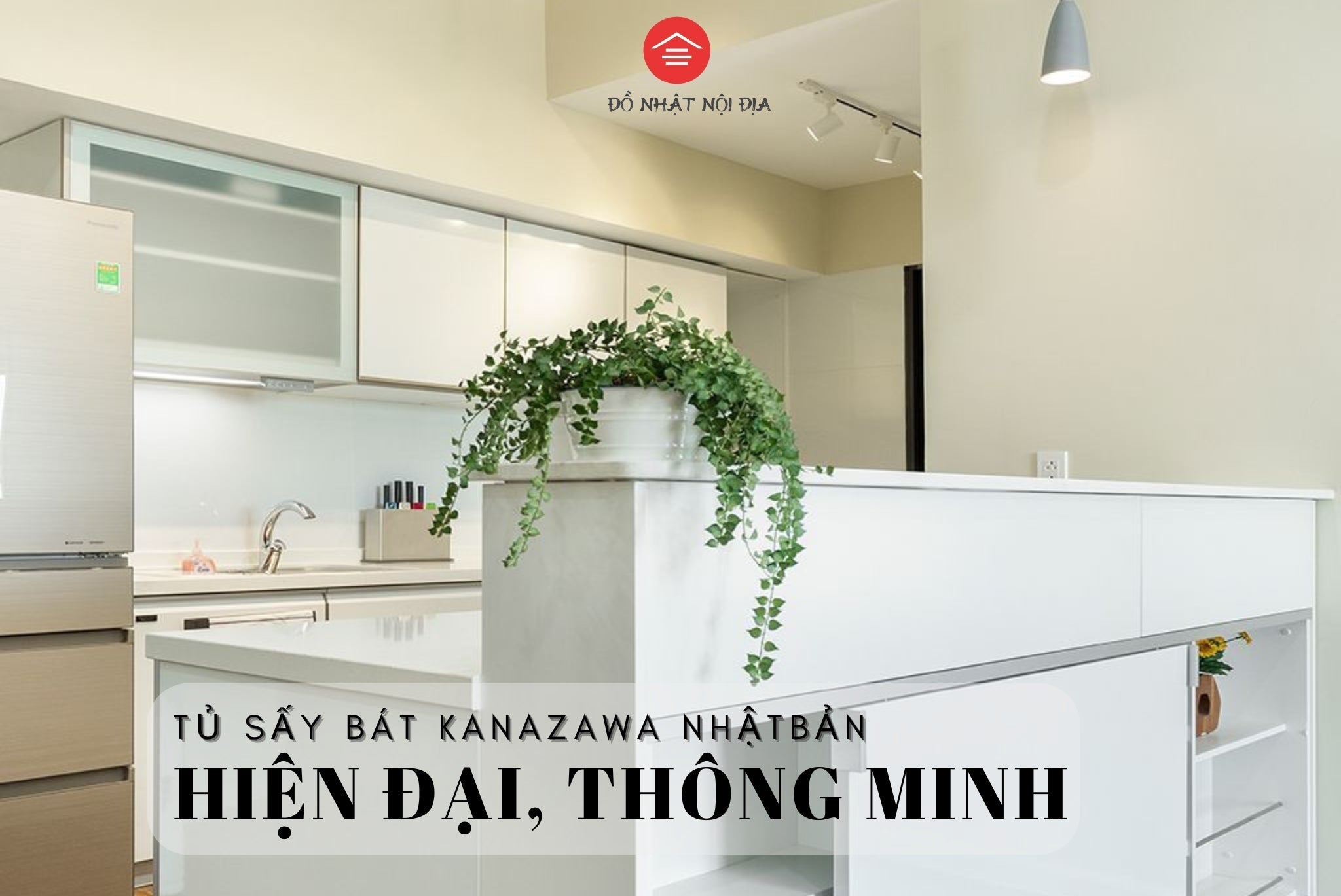 Bát đĩa luôn ẩm mốc, mùi hôi trong gian bếp: Nguyên nhân và cách xử lý hiệu quả