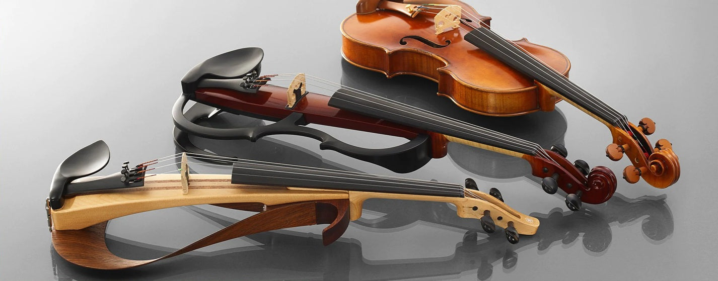 Violin