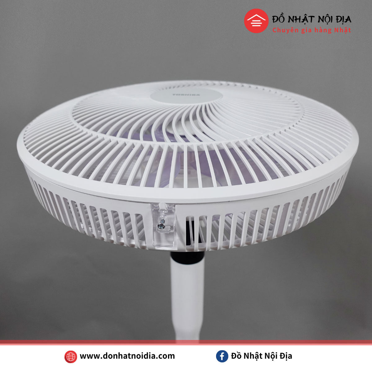 Quạt Cây Nhật Nội Địa Toshiba TF-35DH26 | Đồ Nhật Nội Địa