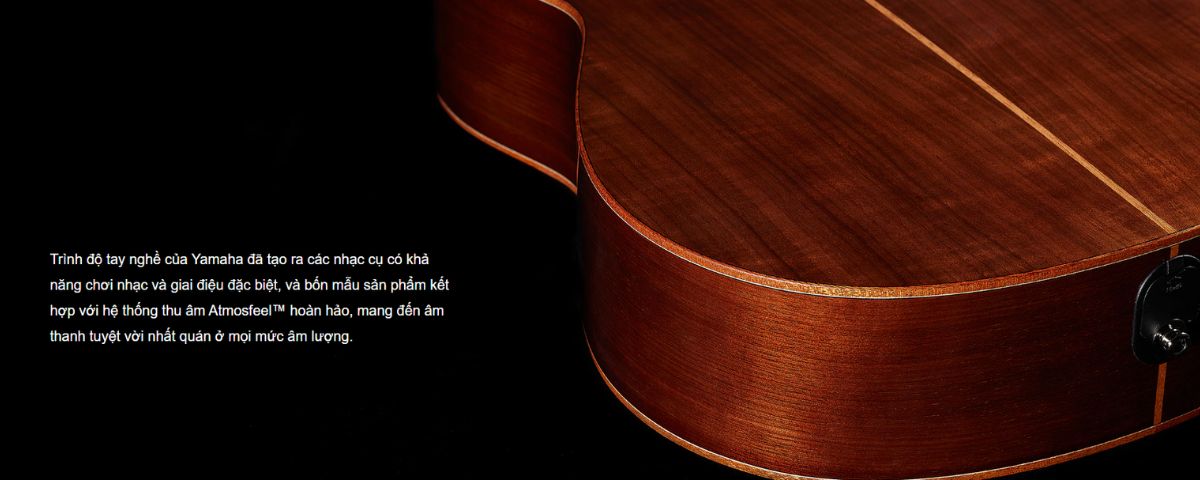 Guitar NX Series|Areca