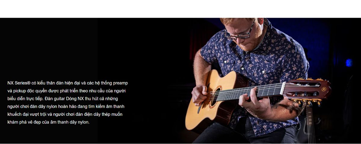 Guitar NX Series|Areca