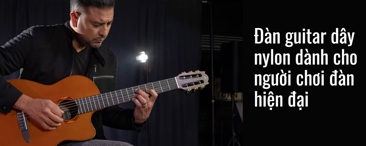 Guitar NX Series|Areca