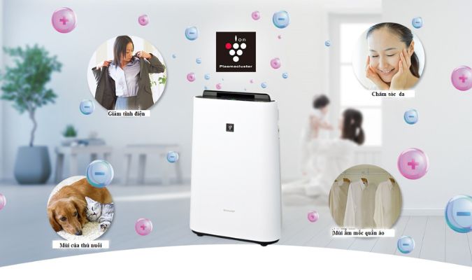 Ion Plasmacluster 7000