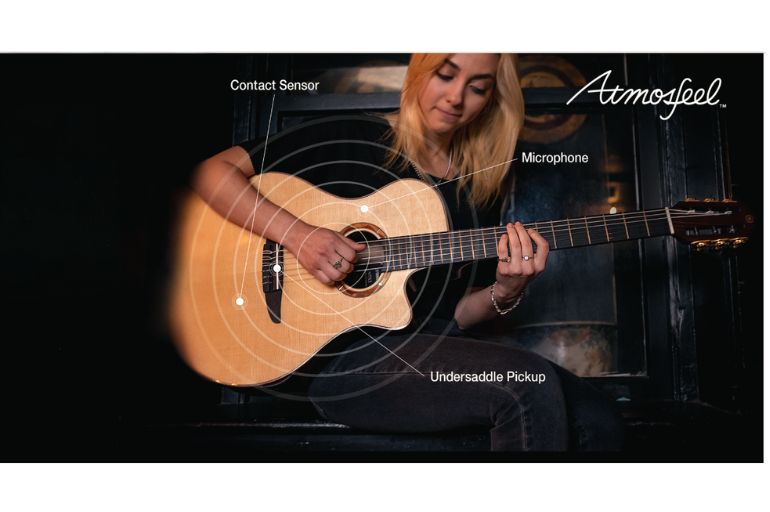 Tính năng đàn guitar NX |Areca