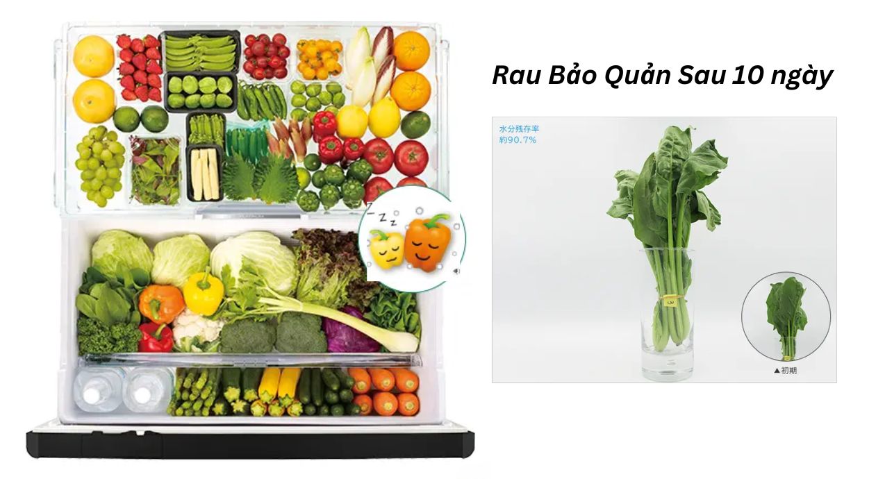 Ngăn rau củ | Tủ Lạnh Hitachi R-WXC74W-X, 735L | Tủ Lạnh Nhật Nội Địa
