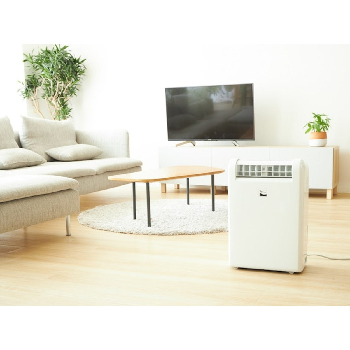 Máy Hút Ẩm Mitsubishi MJ-M100TX-W | Đồ Nhật Nội Địa