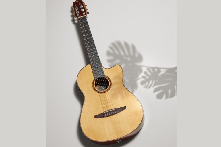 Tính năng NCX|Areca