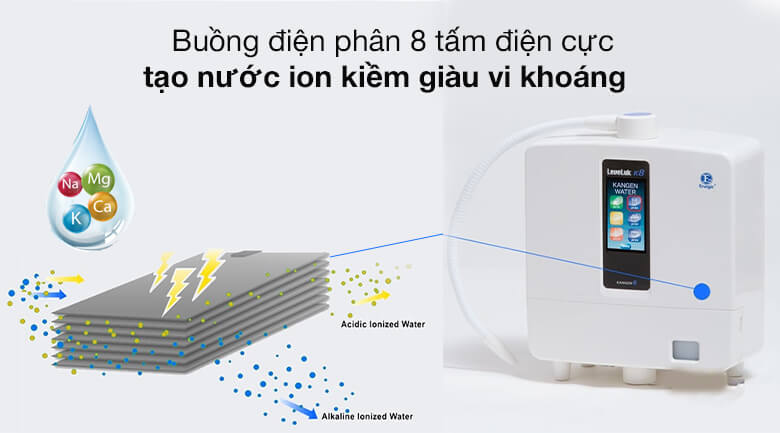 Leveluk K8 8 tấm điện cực Titan