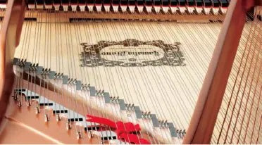 Grand Piano CX Series | Dây Đàn