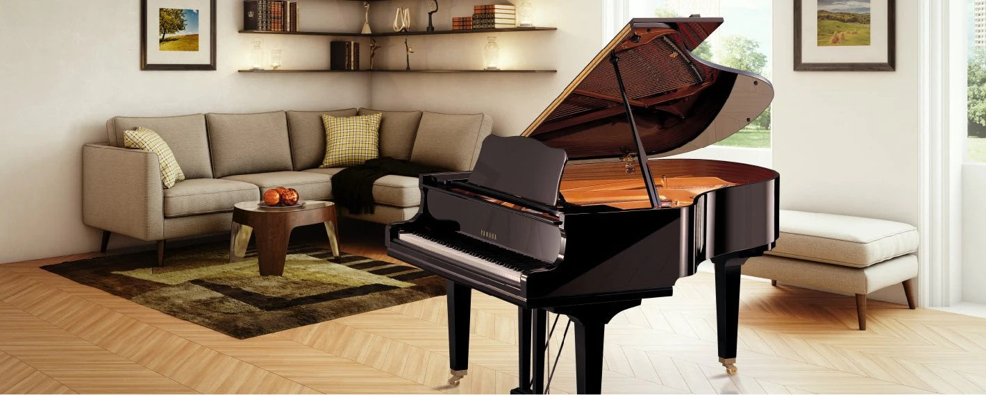 Grand Piano GC Series | Areca | Đồ Nhật Nội Địa