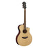 Đàn Guitar Acoustic Yamaha APX600M | Areca