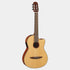 Guitar Yamaha NCX1|Areca