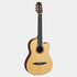 Guitar Yamaha NCX3|Areca