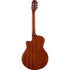 Guitar Yamaha NTX1|Areca