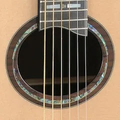 APX Soundhole Oval